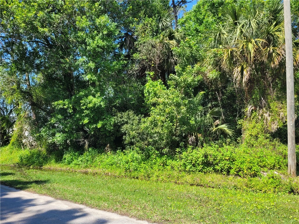 Property Photo:  569 Joy Haven Drive  FL 32958 