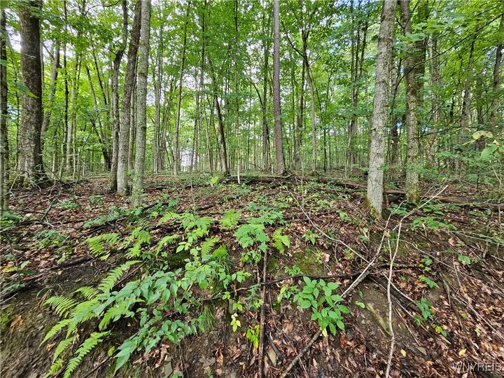 Property Photo: Dublin Terrace Road NY 14779