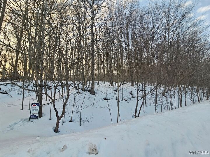 Property Photo:  Dublin Terrace Road  NY 14779 