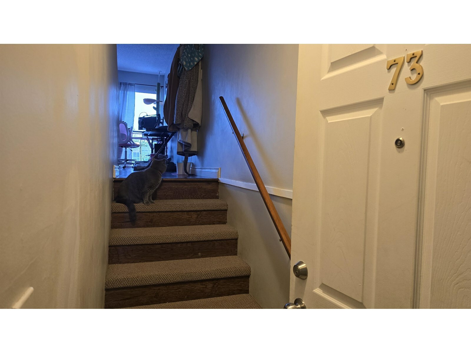 Photo de la propriété: 17712 60 73 BC V3S 1V2