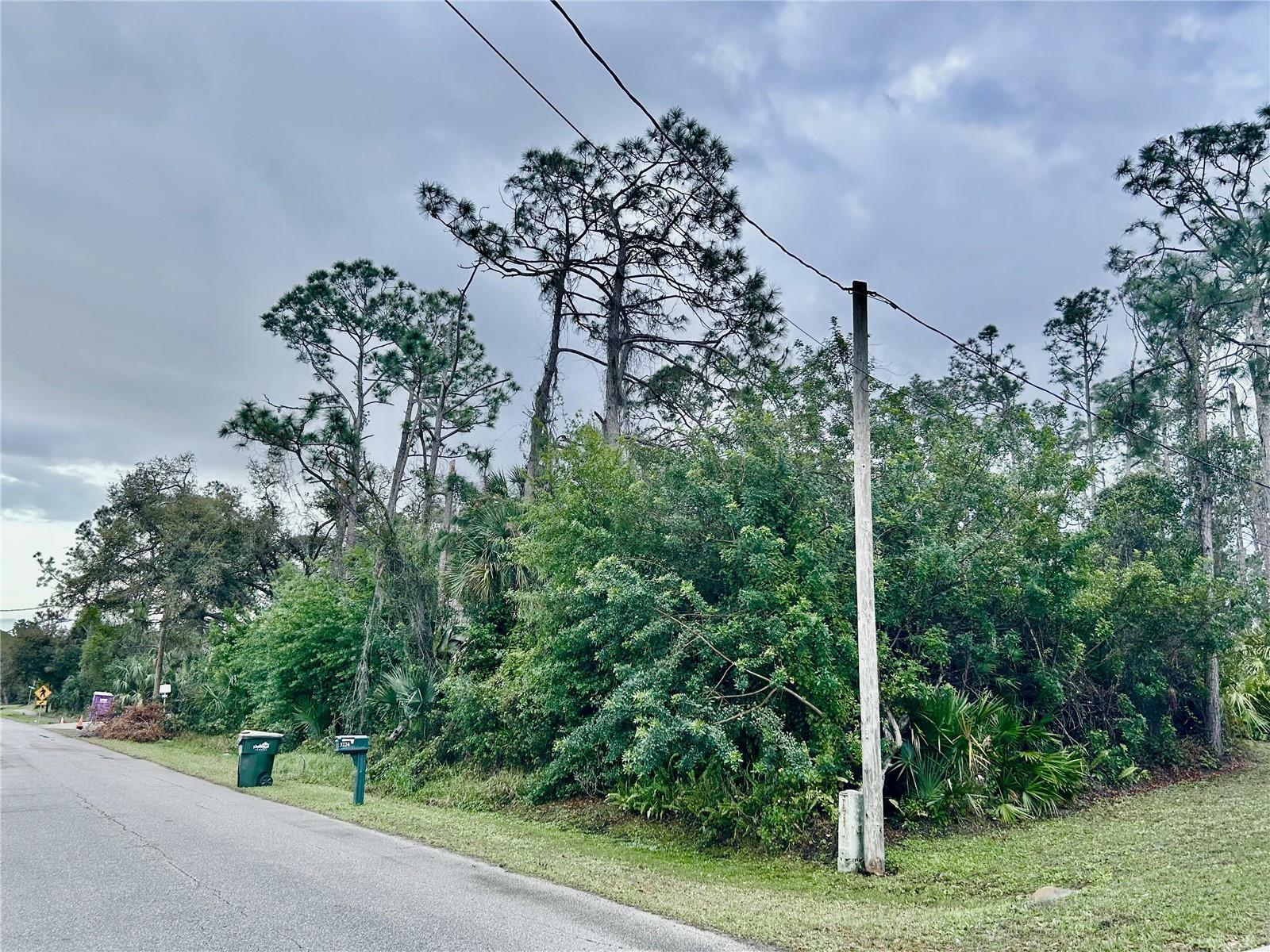 Property Photo:  Madagascar Avenue  FL 34286 