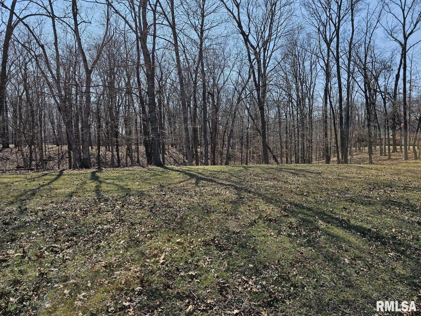 Lot 2 E Whipporwill Road  Mt Vernon IL 62864 photo