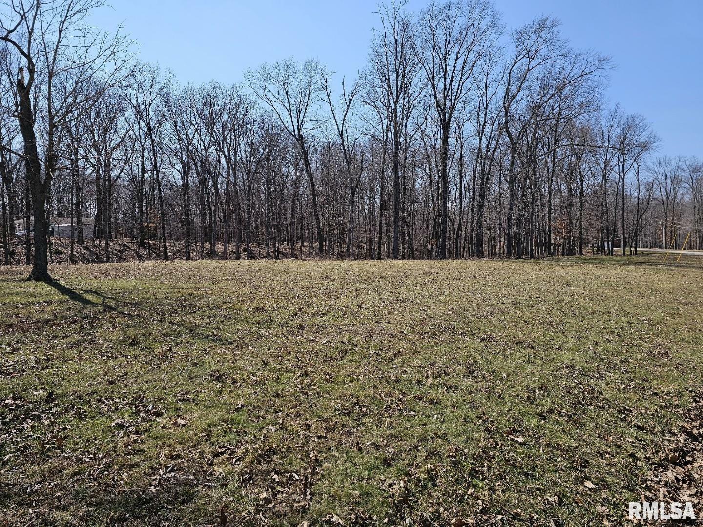 Lot 1 E Whipporwill Road  Mt Vernon IL 62864 photo