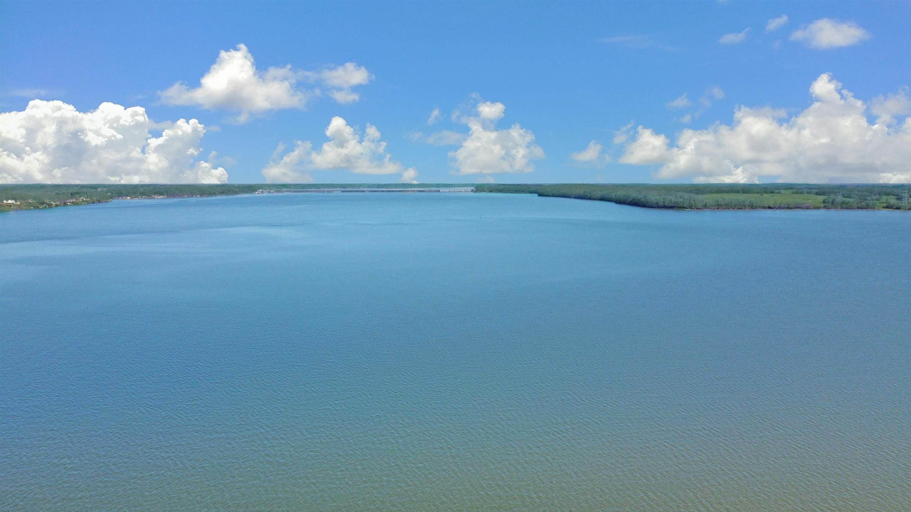 Property Photo: 700 Lakeshore Dr N AL 35661 - MUSCLE S
