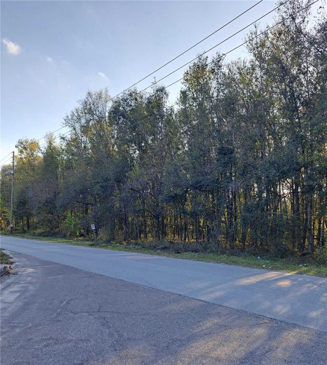 Property Photo: 20th Street FL 33542