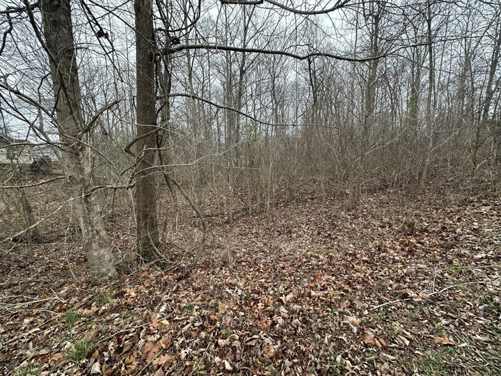 Property Photo: 7 Ginger Drive TN 37058