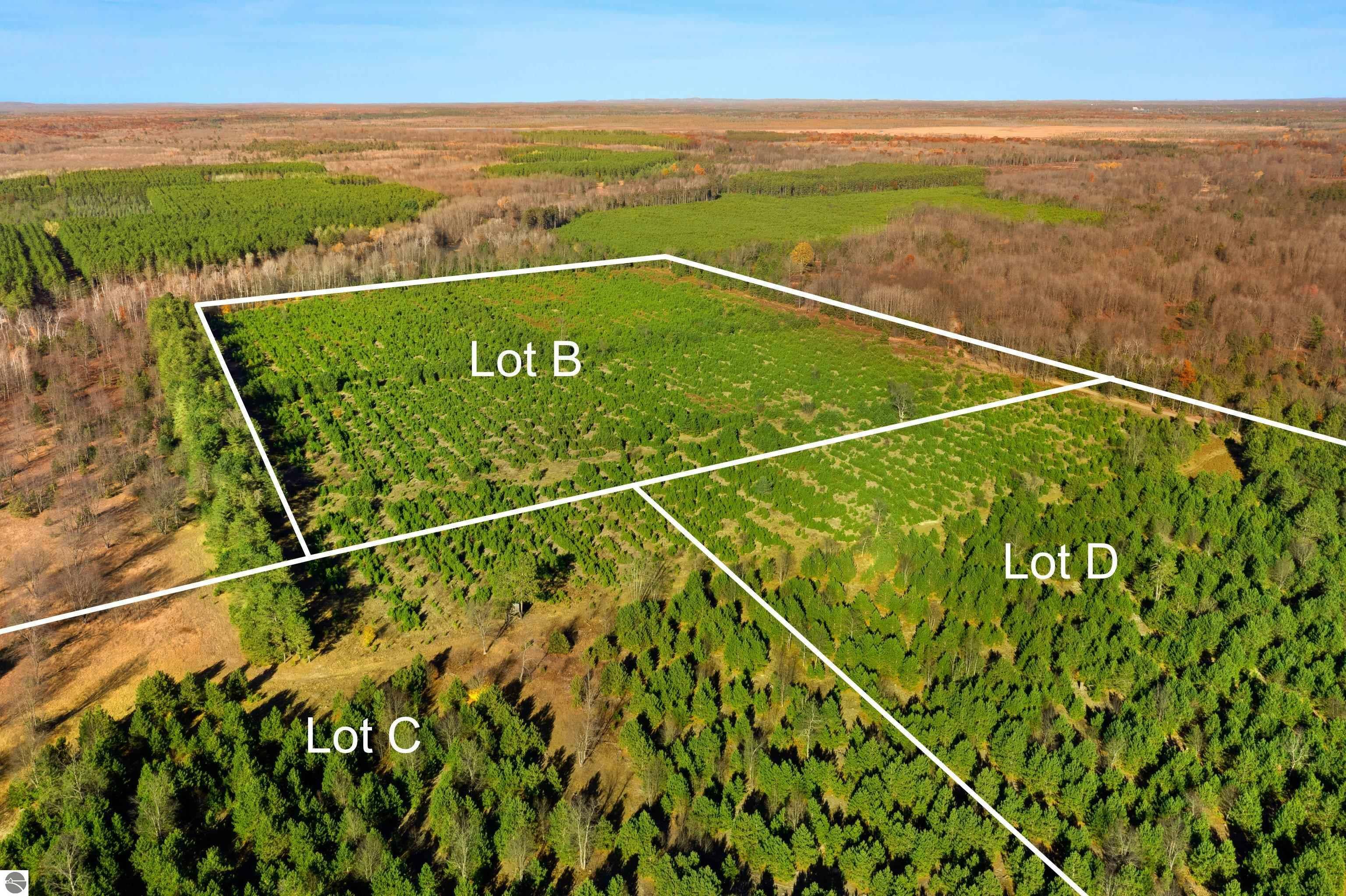 15 Acres C Wallin Road  Thompsonville MI 49683 photo