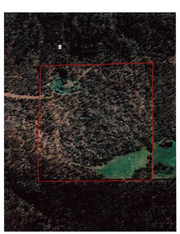 1548 County Road 731  Berryville AR 72616 photo