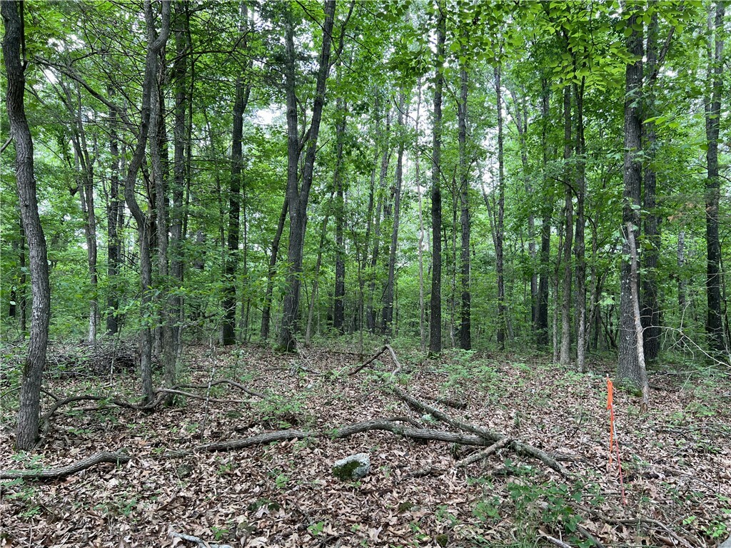 Property Photo:  Tract X On Meadow Creek Drive  AR 72601 