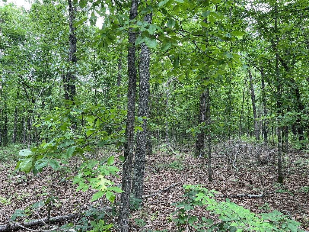 Property Photo:  21.58 Acres On Meadow Creek Drive  AR 72601 