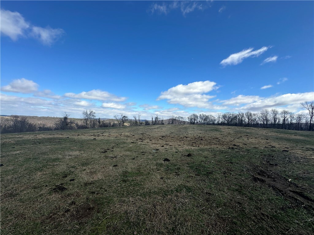 Property Photo: 1061 County Road 731 AR 72616