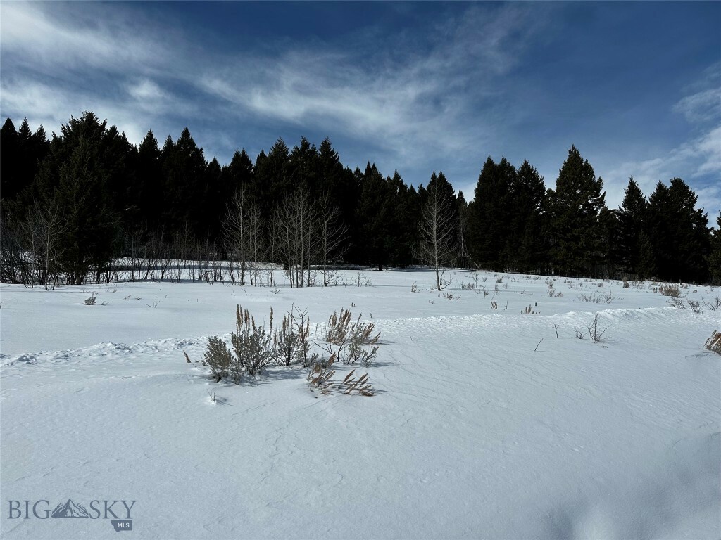 Property Photo:  Parcel 23 Buffalo Lance Ranch  MT 59720 