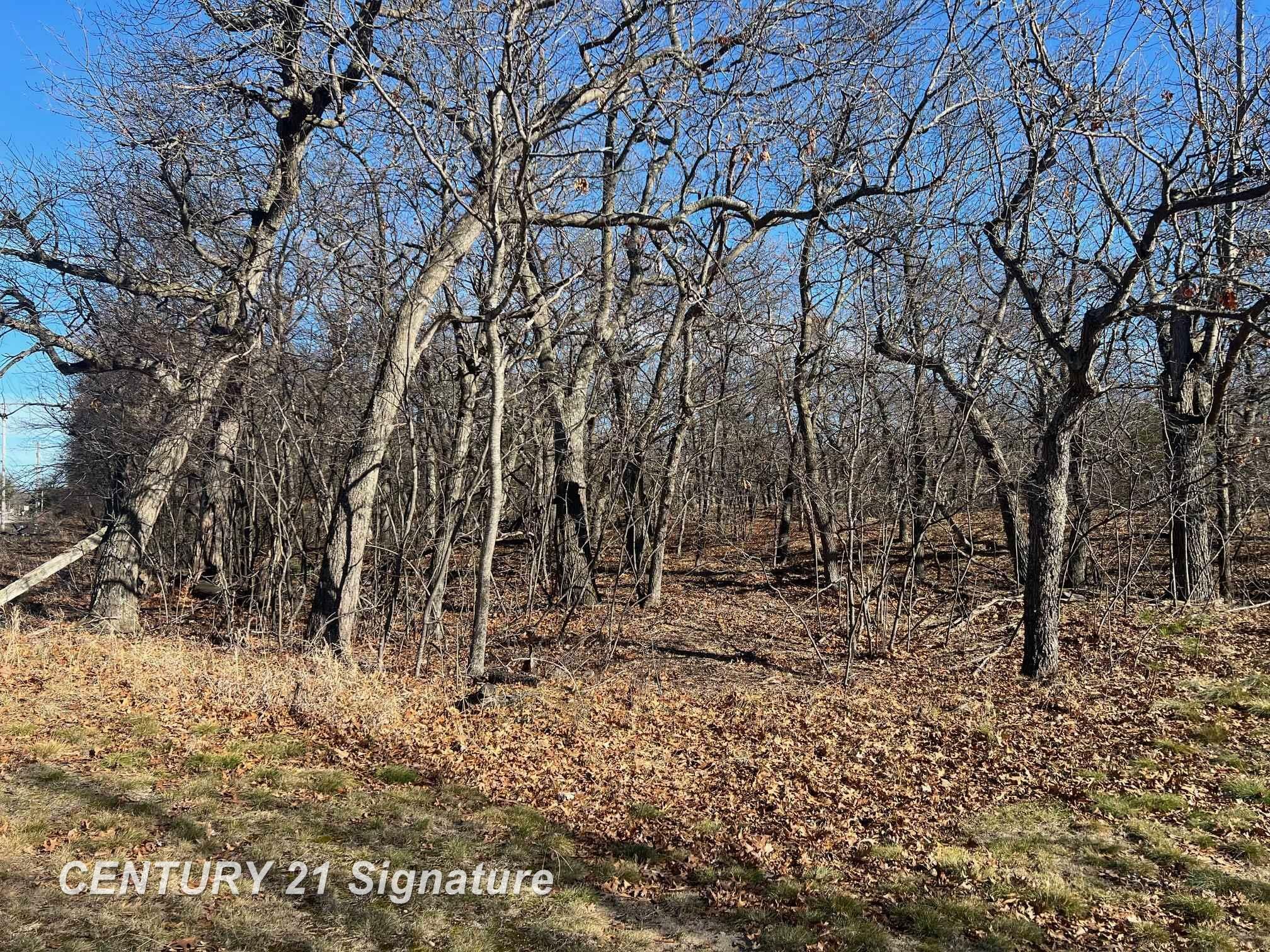 Property Photo: V/L Crescent Beach Road MI 48755
