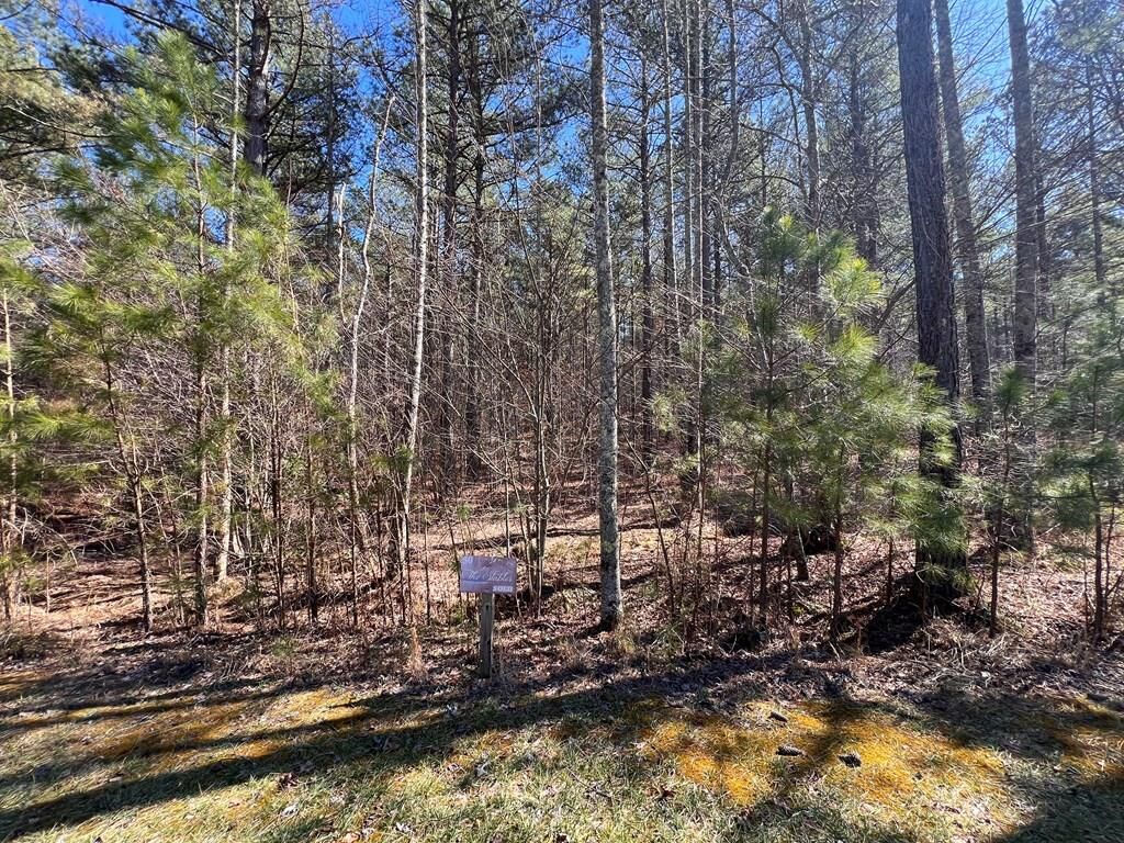 Property Photo:  Lot 50 Deyton Dr  GA 30512 