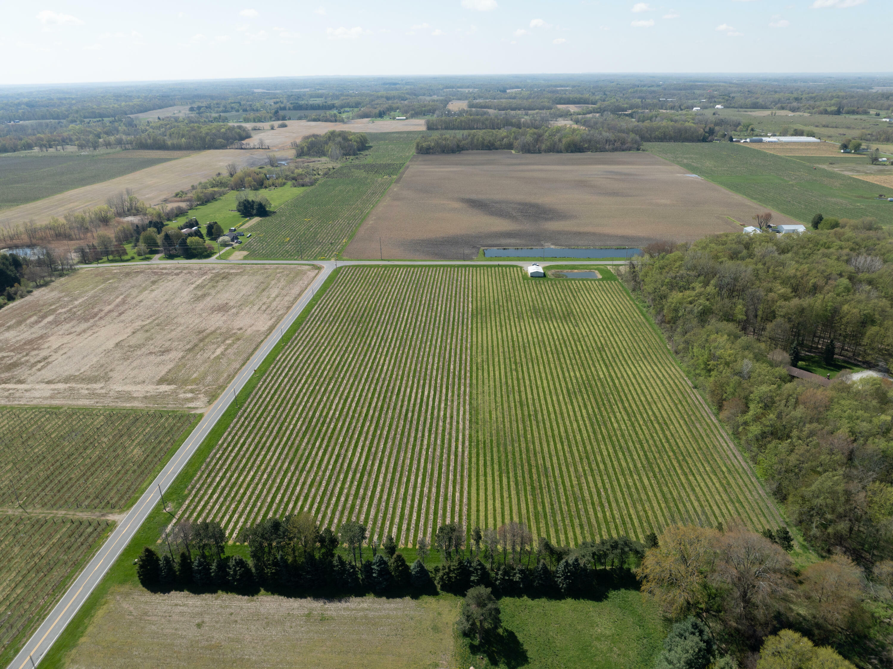Scottdale Road  Berrien Springs MI 49103 photo