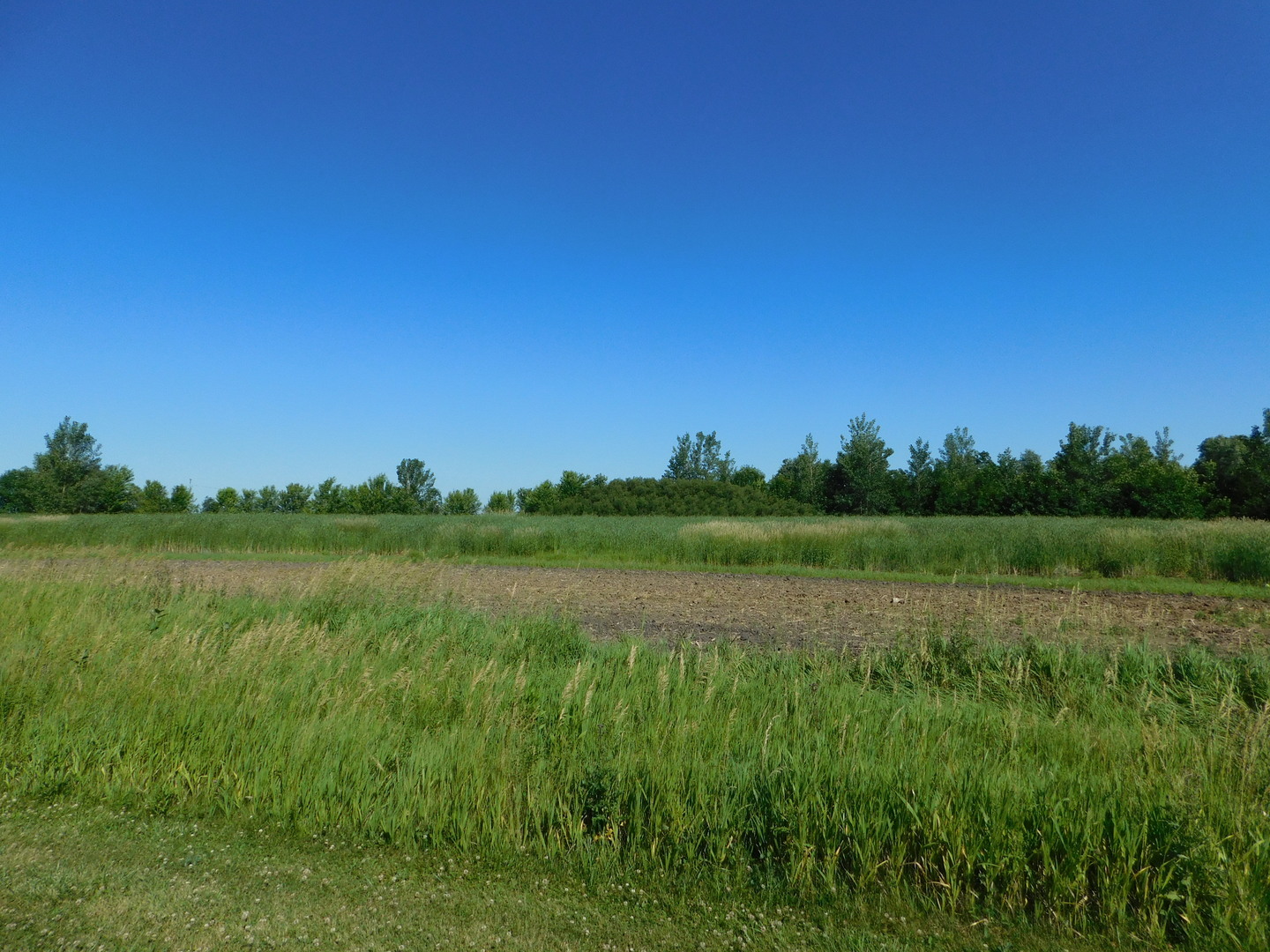 Property Photo: 1376 N 4535th Road IL 60518