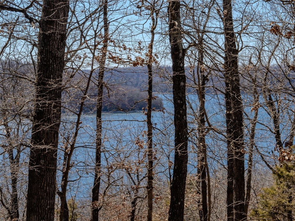 Property Photo: Lot 18 County Road 1522 AR 72632