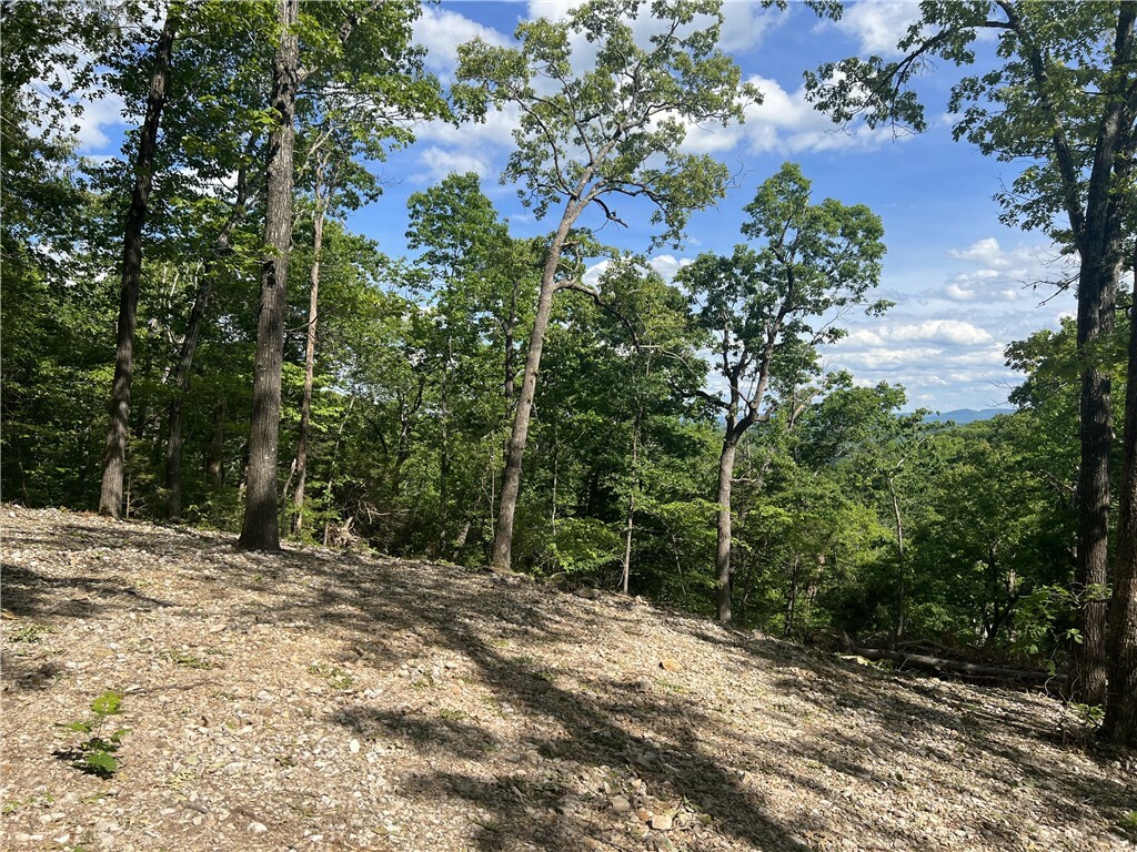 Nc 2909  Marble Falls AR 72648 photo
