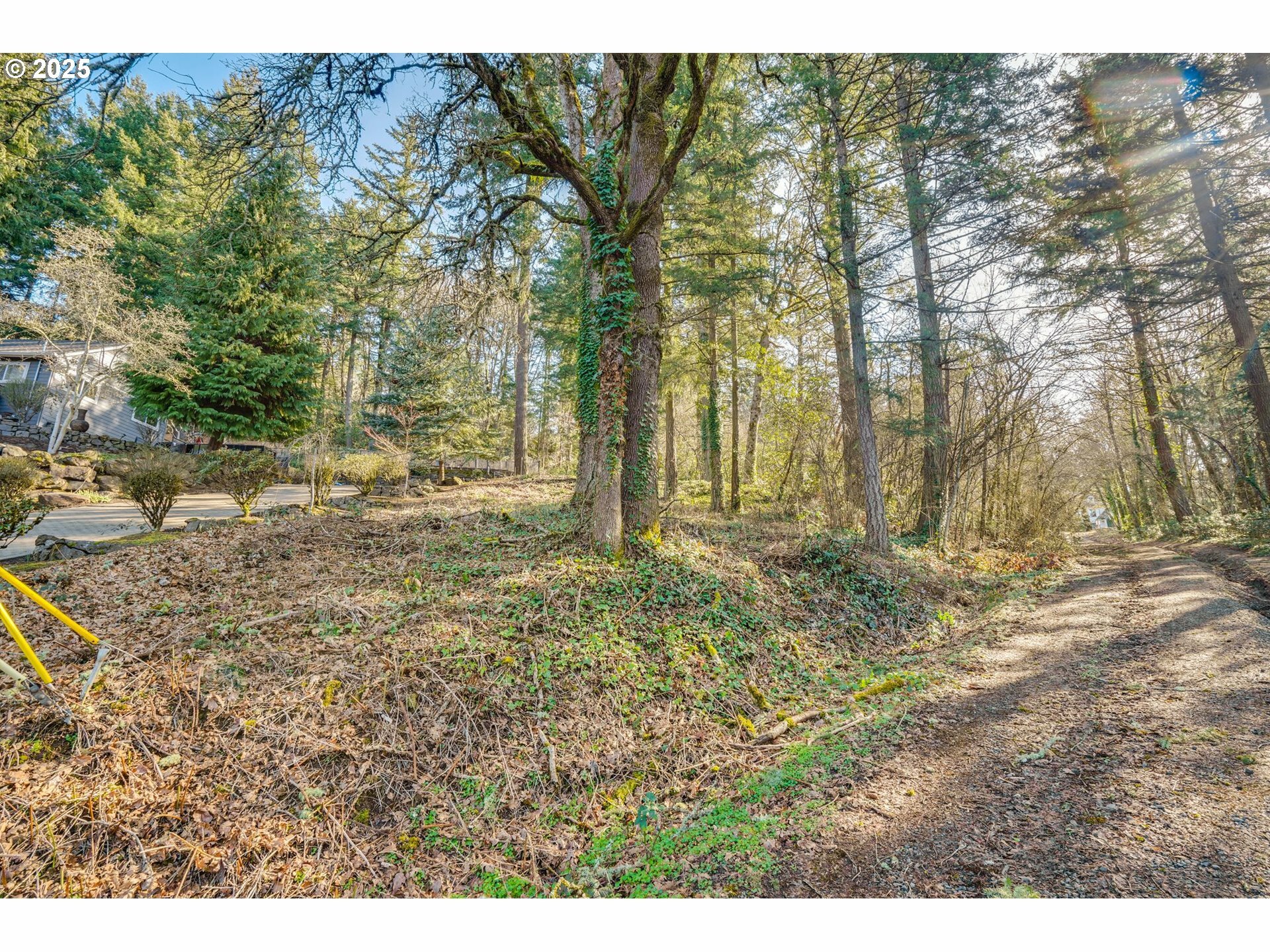 Property Photo: