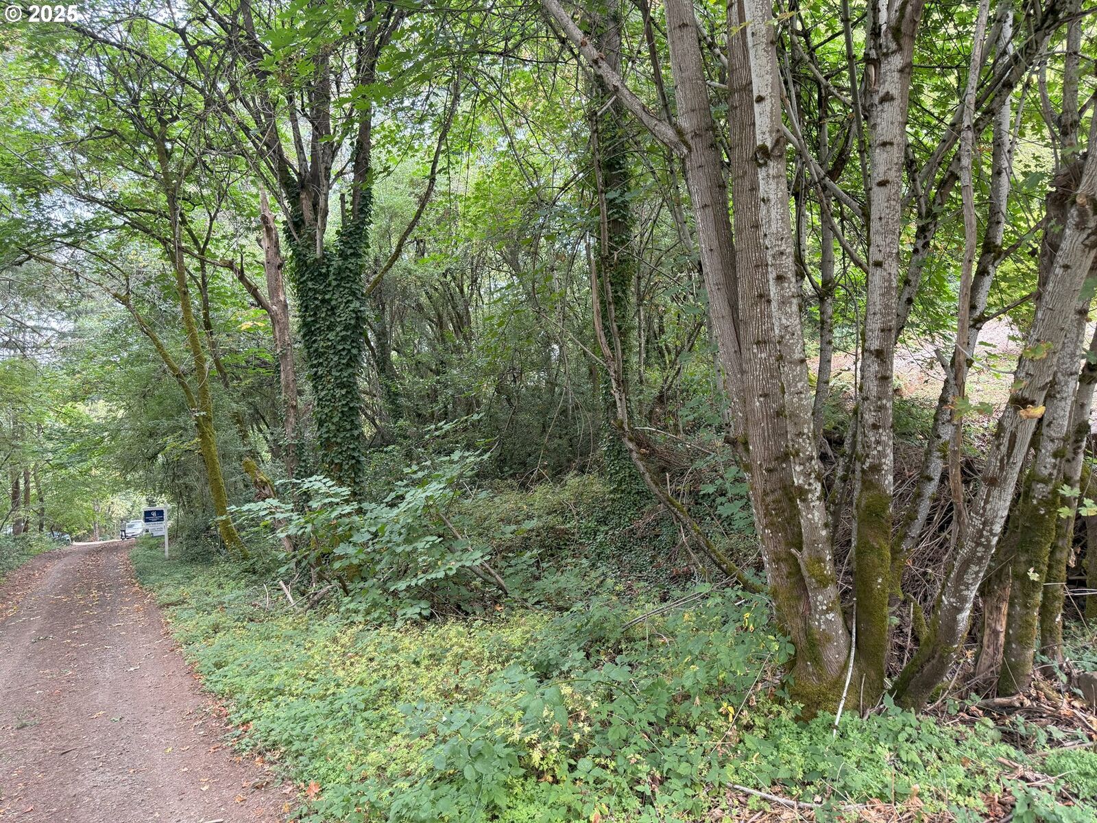 Property Photo: