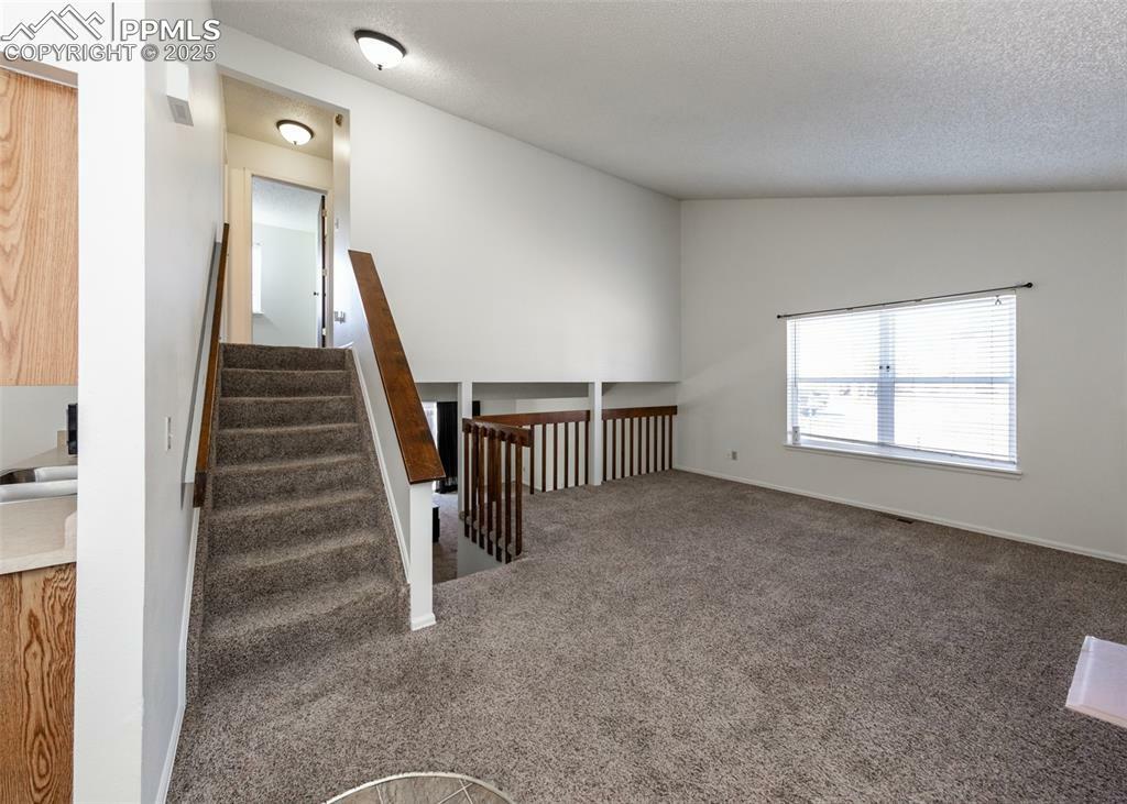 Property Photo:  997 Magnolia Street  CO 80907 