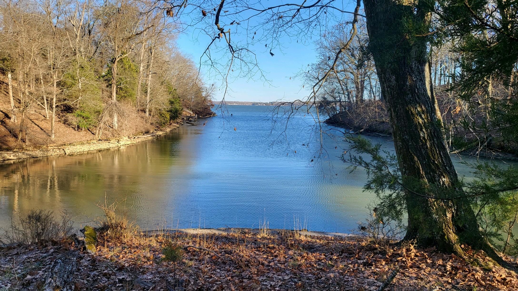 Property Photo: 26 Highland Cove AL 35630 - FLORENCE