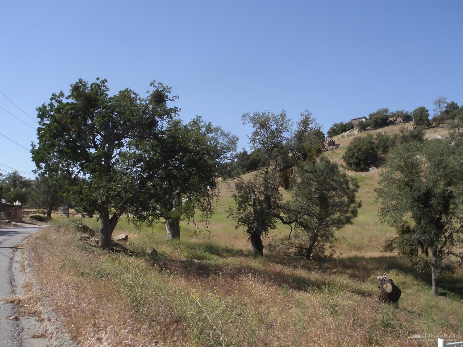 Property Photo: 19520 Quail Drive CA 93561
