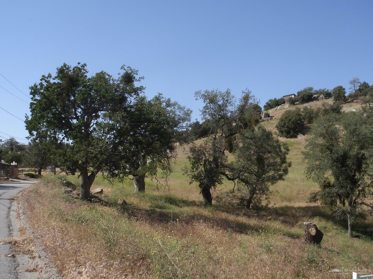 Property Photo:  19520 Quail Drive  CA 93561 