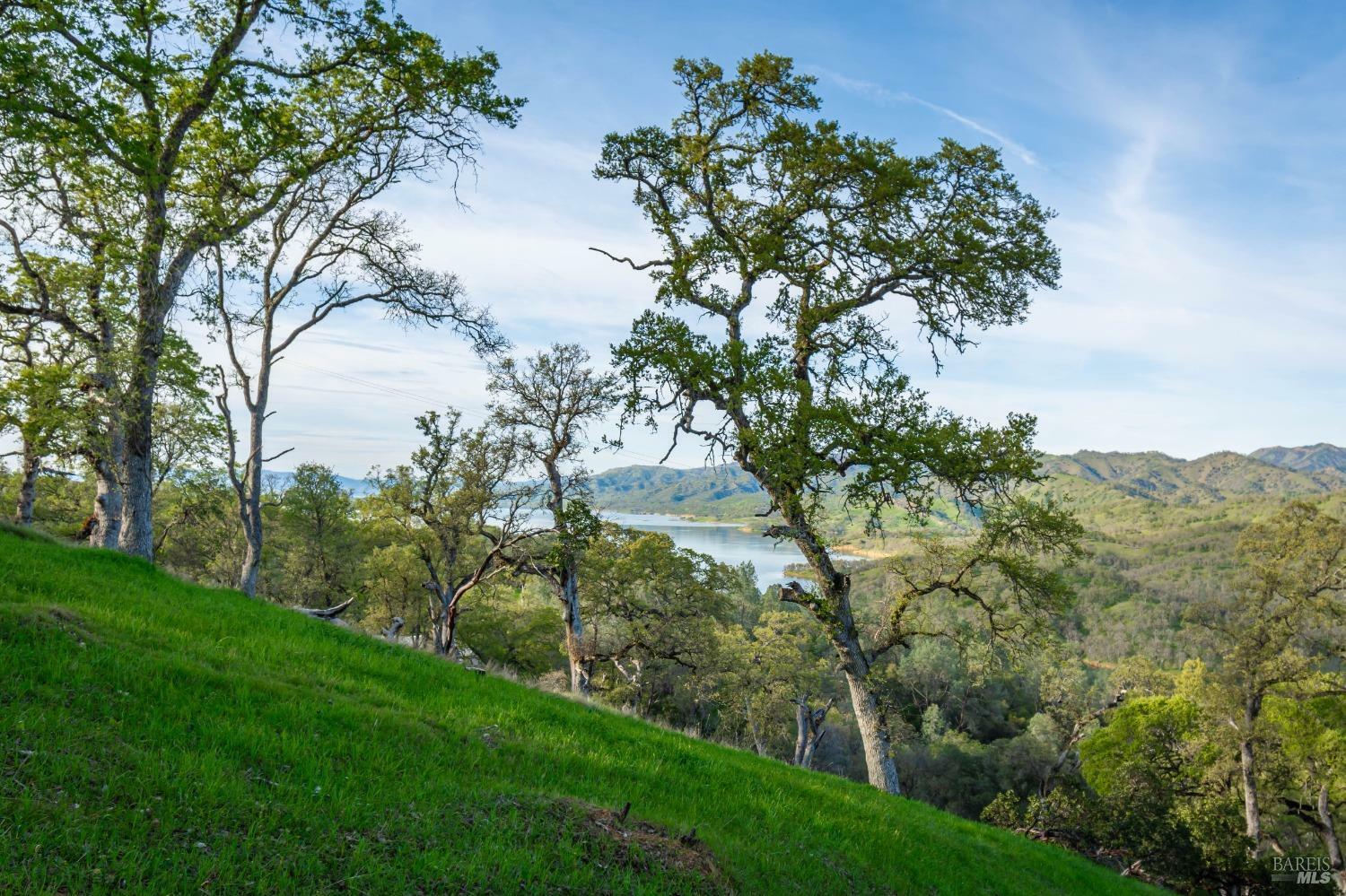 Property Photo:  1081 Steele Canyon Road  CA 94558 