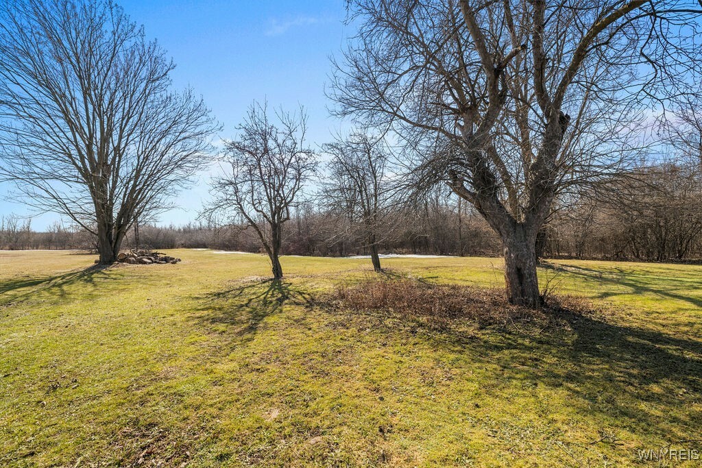 Property Photo:  7901 Packard Road  NY 14304 