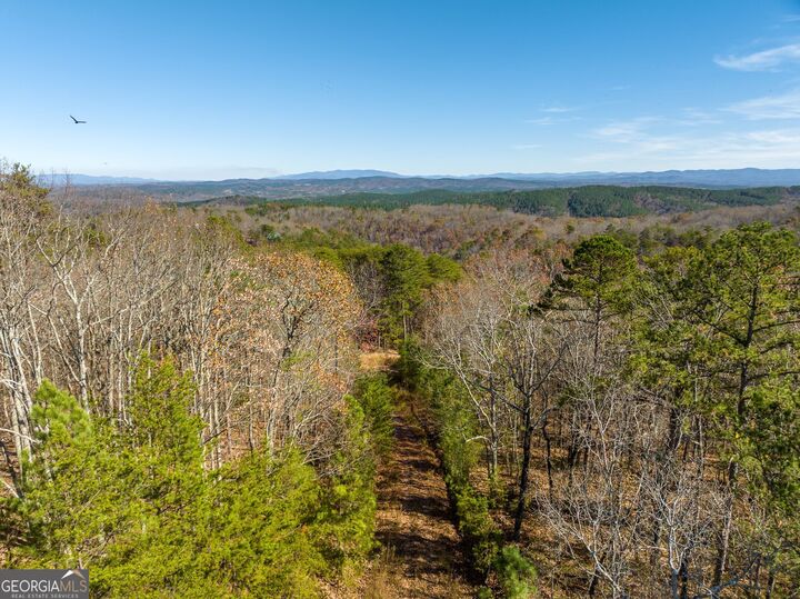 Property Photo:  1345 Hunter Drive  GA 30734 