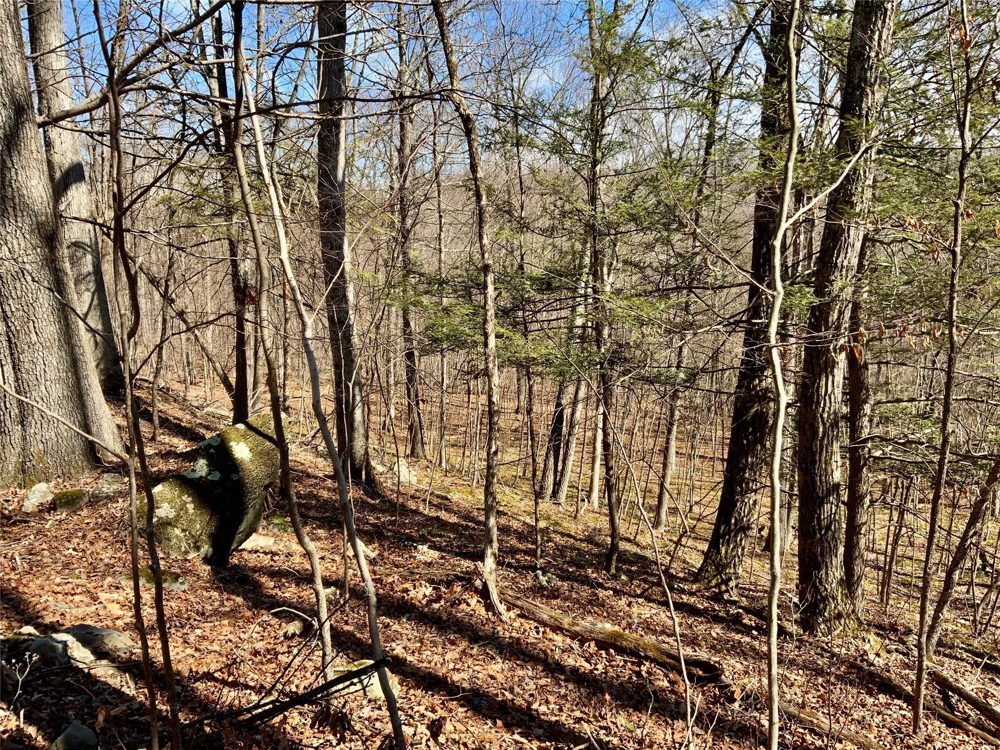 Property Photo: Tbd Hawleys Corner NY