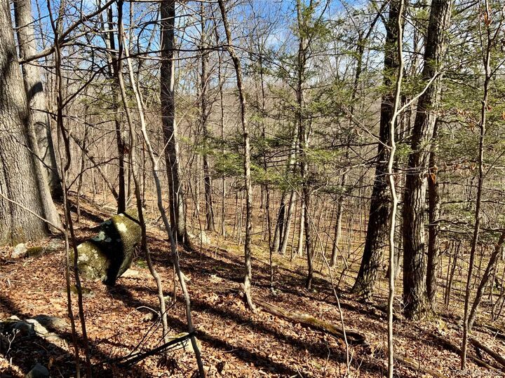 Property Photo:  Tbd Hawleys Corner  NY  
