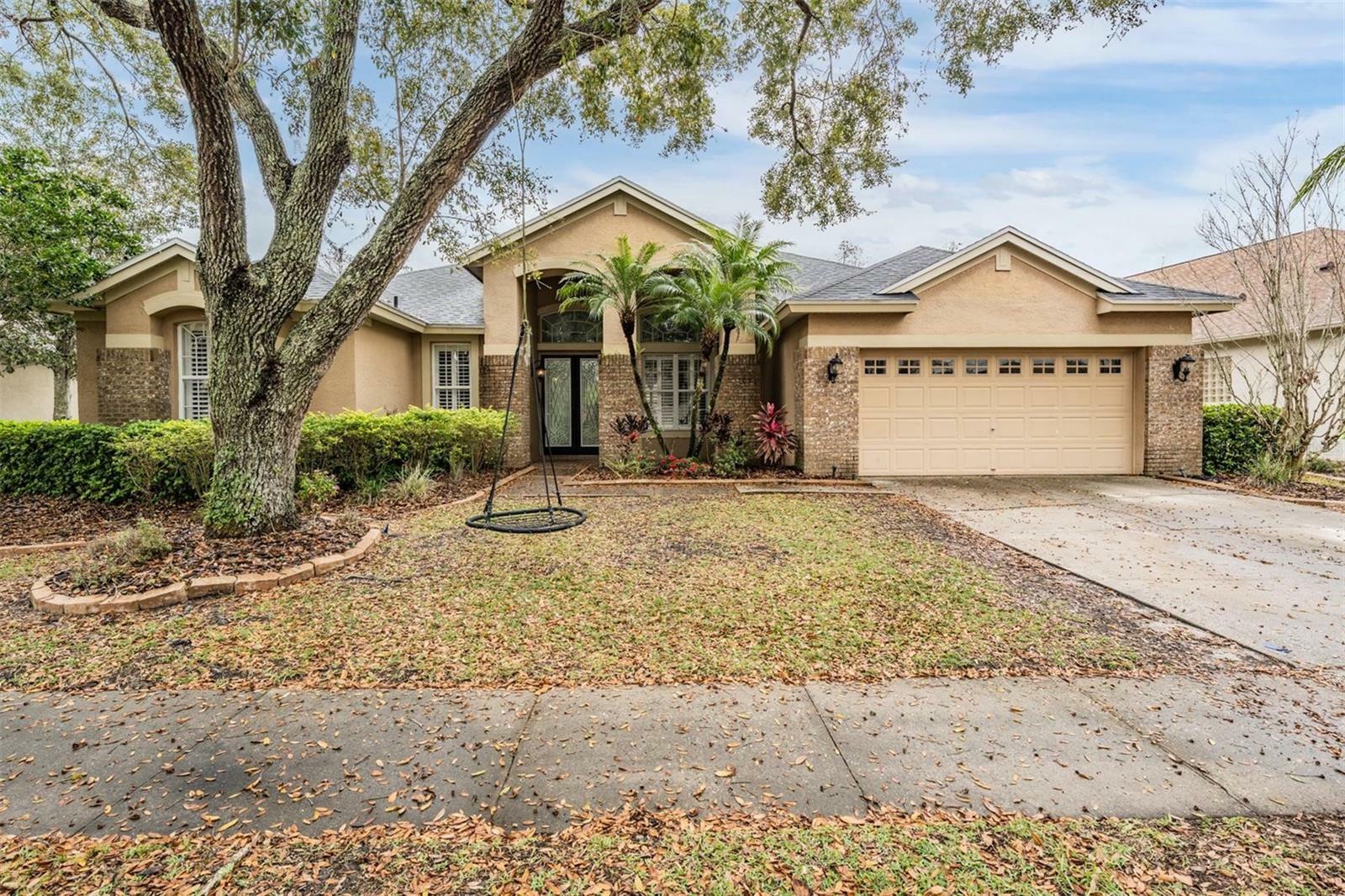 Property Photo:  19223 Wind Dancer Street  FL 33558 