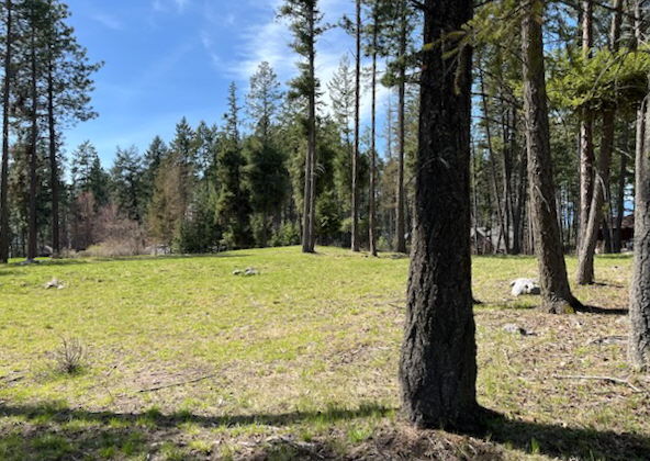 Property Photo: 13962 Pine Street MT 59911
