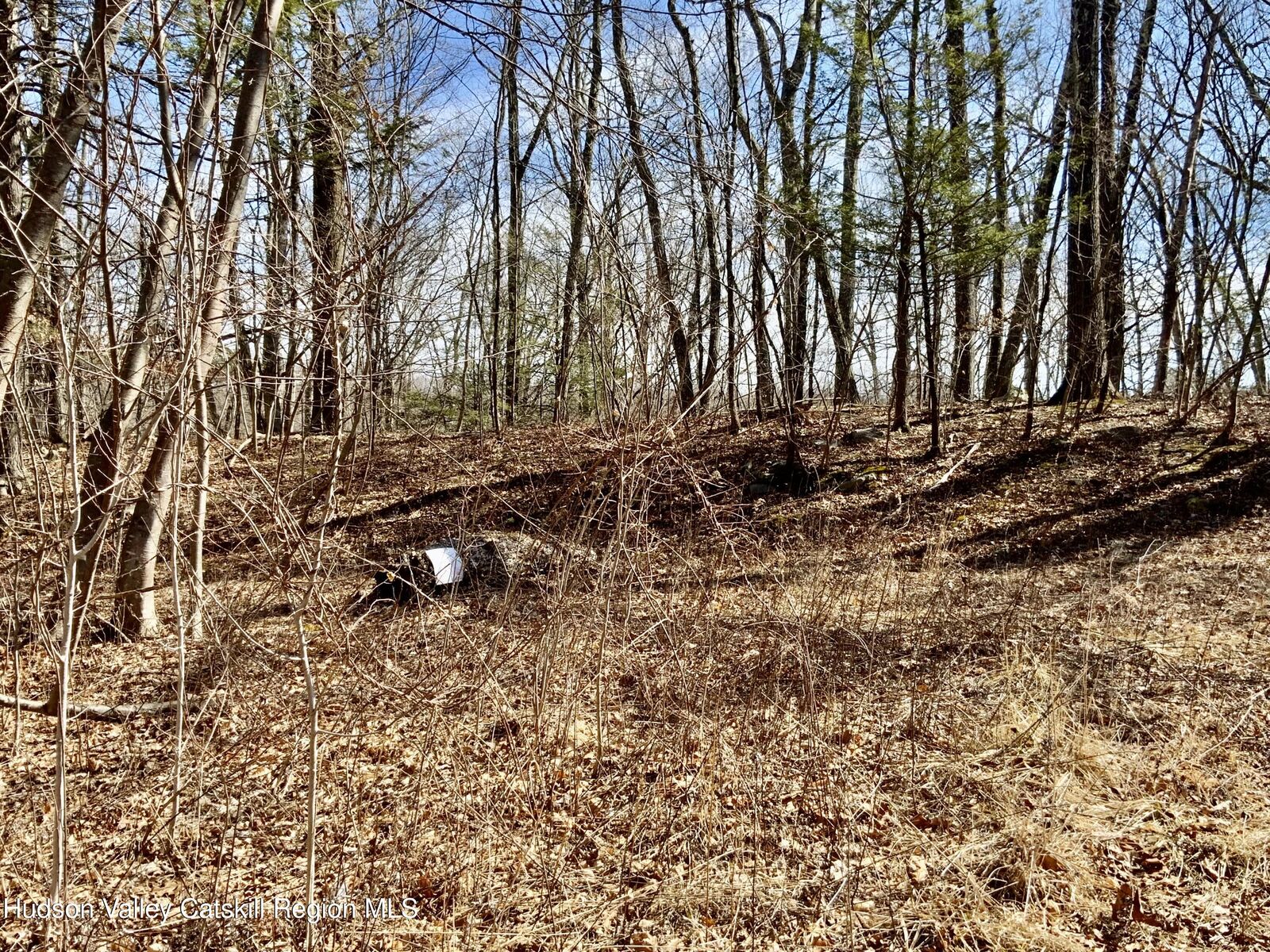 Property Photo:  Tbd Hawleys Corner  NY 12528 