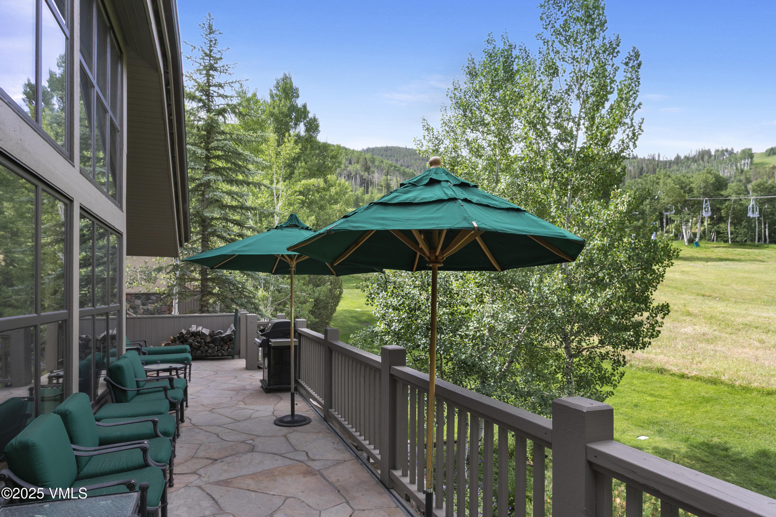 Property Photo: 32 Greystone Court CO 81620