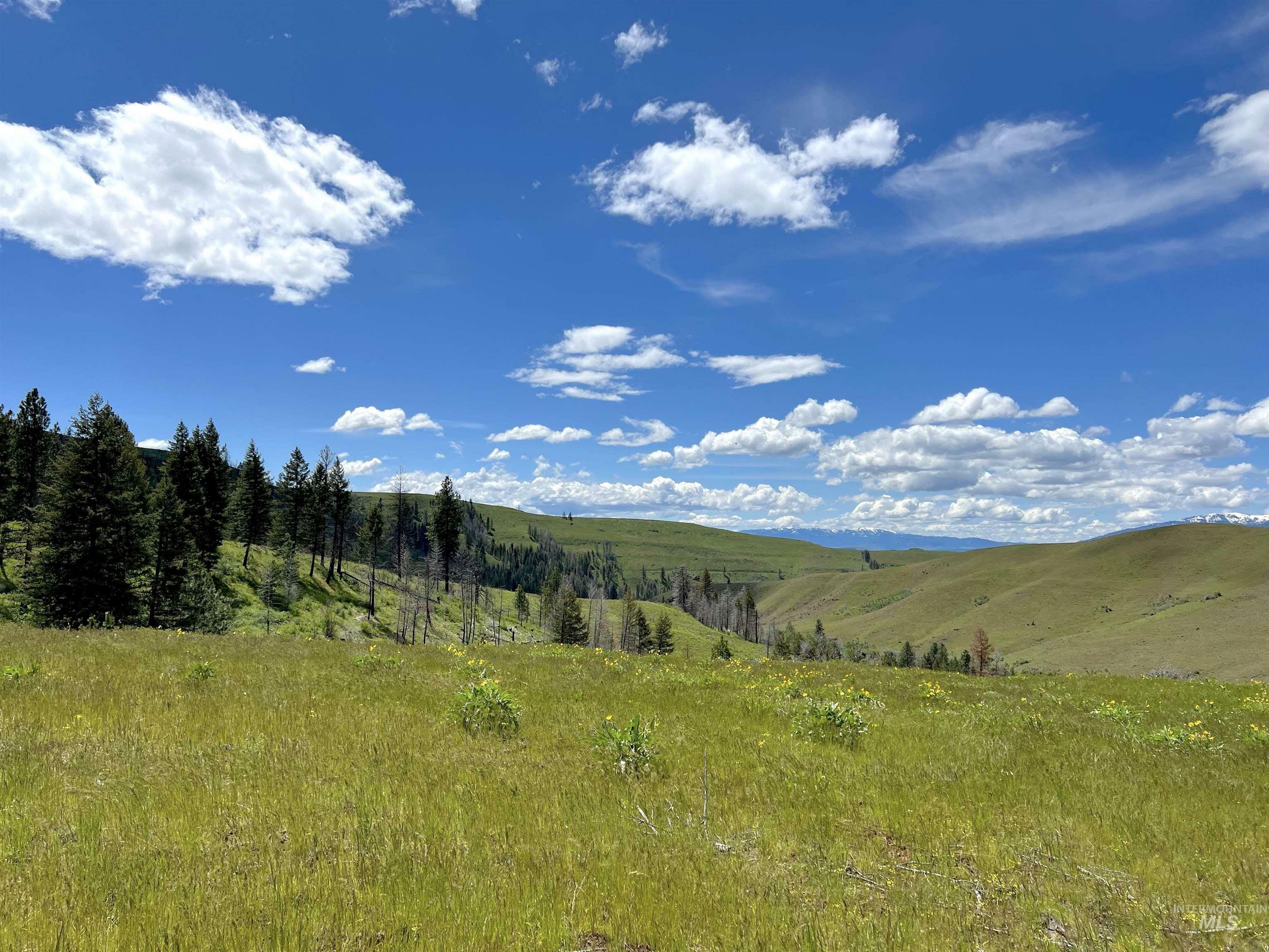 Property Photo:  255 Ac Fall Creek Rd  ID 83612 