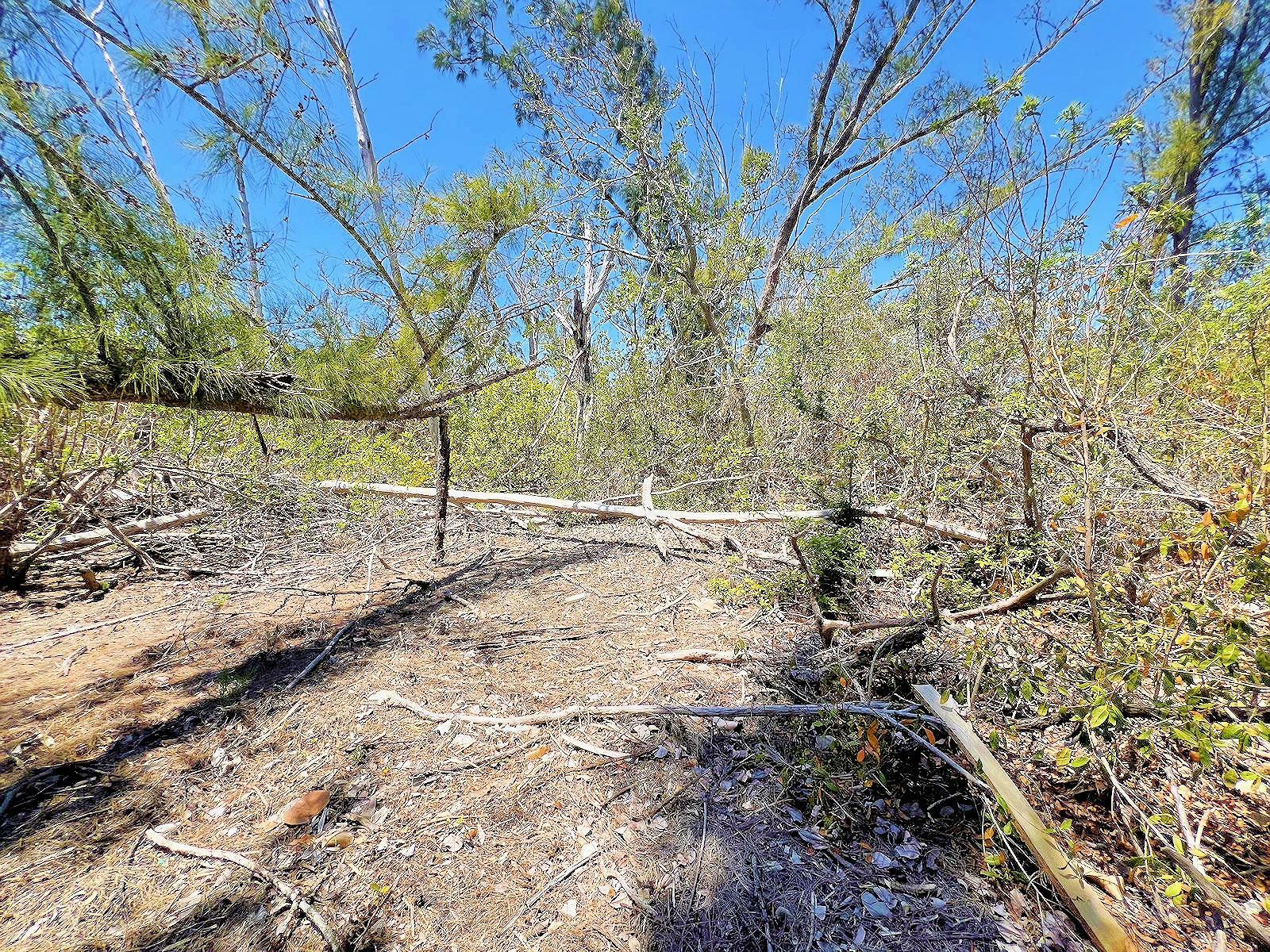 Property Photo: The Island Property Manasota Key FL 34223