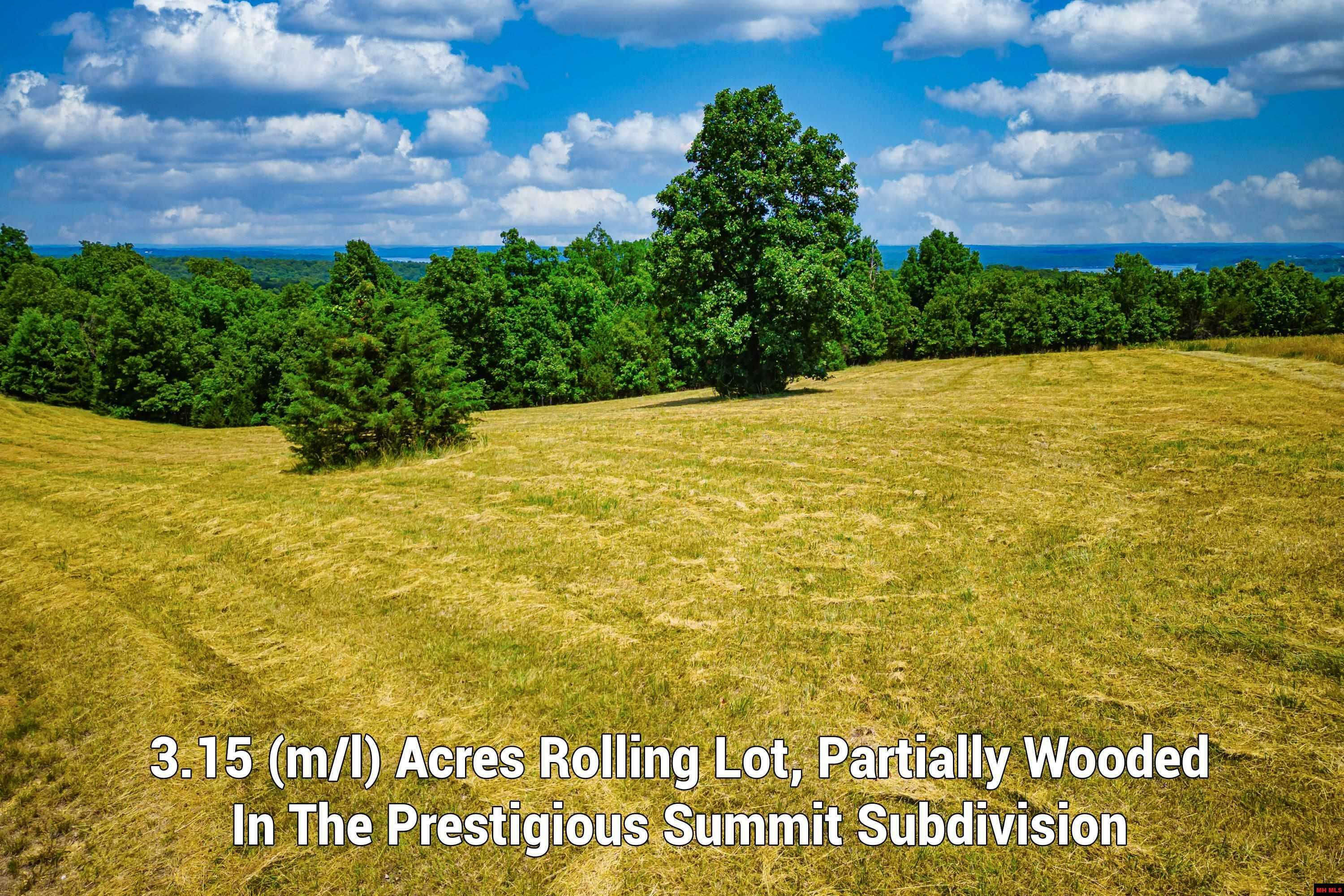 Property Photo: Lots 69-70 Swiss Mountain Drive AR 72653