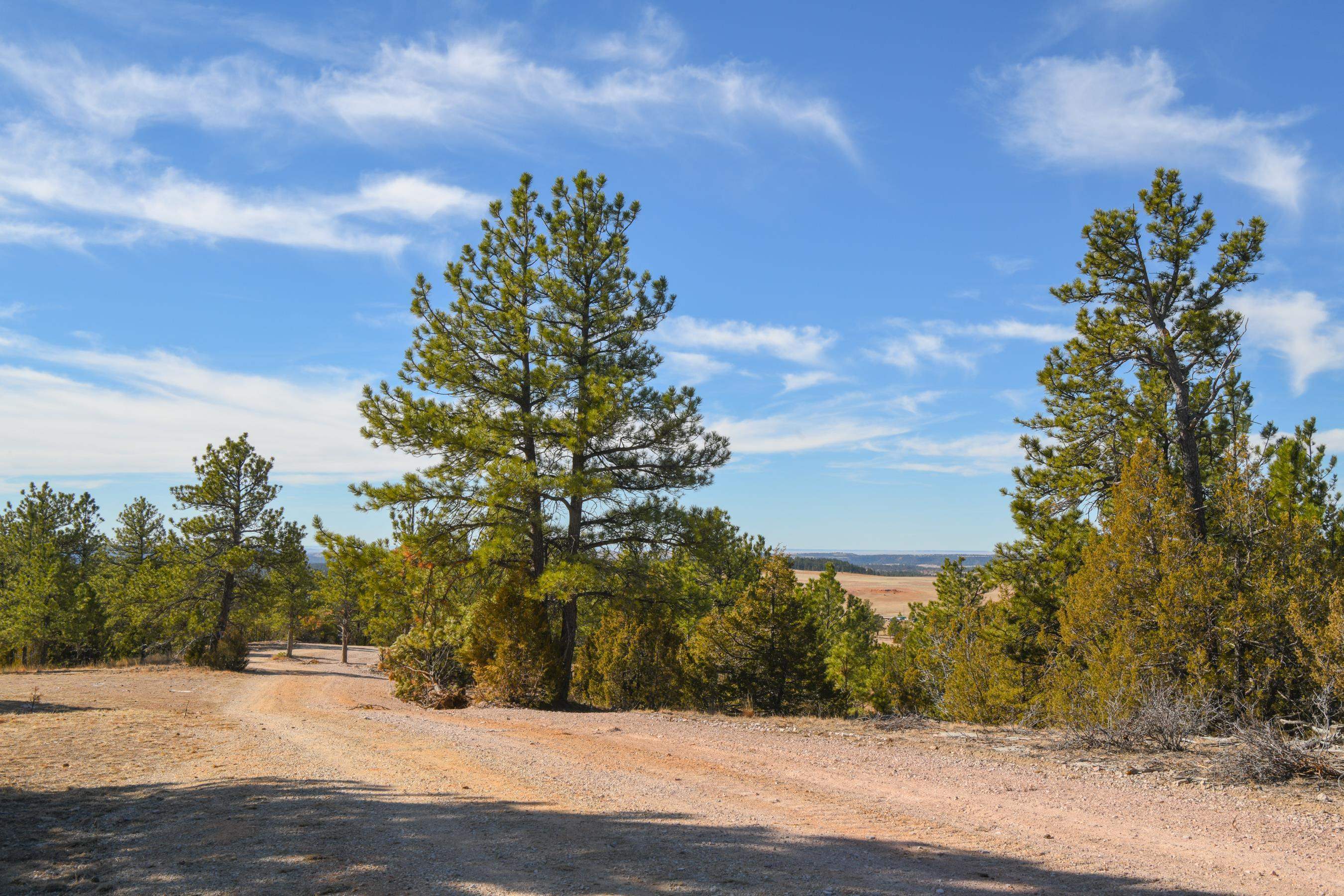 Tbd Remington Road  Custer SD 57330 photo