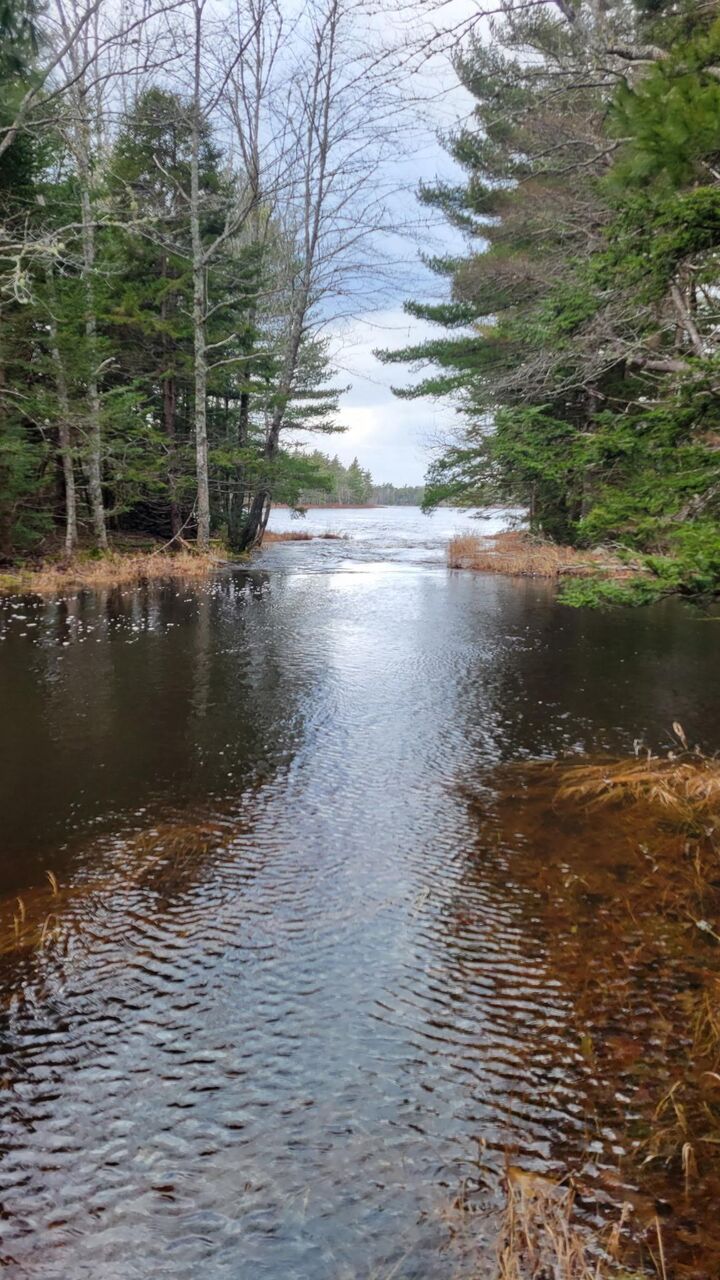 Property Photo:  Lot 47 Bolivar Road  NS B4V 8L7 