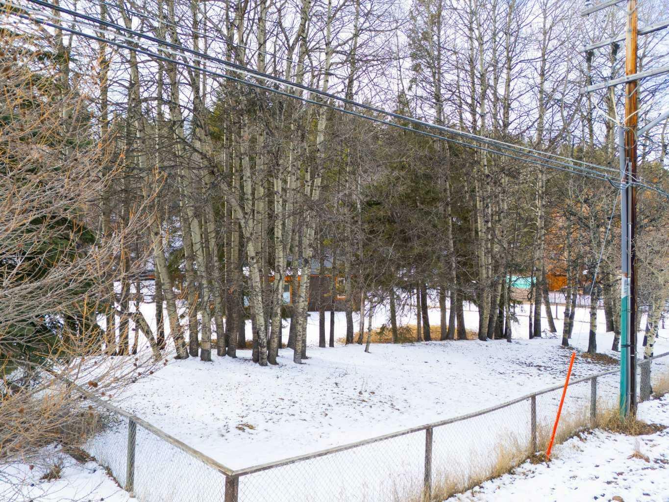 Property Photo:  219 Three Sisters Drive  AB T1W 2M4 