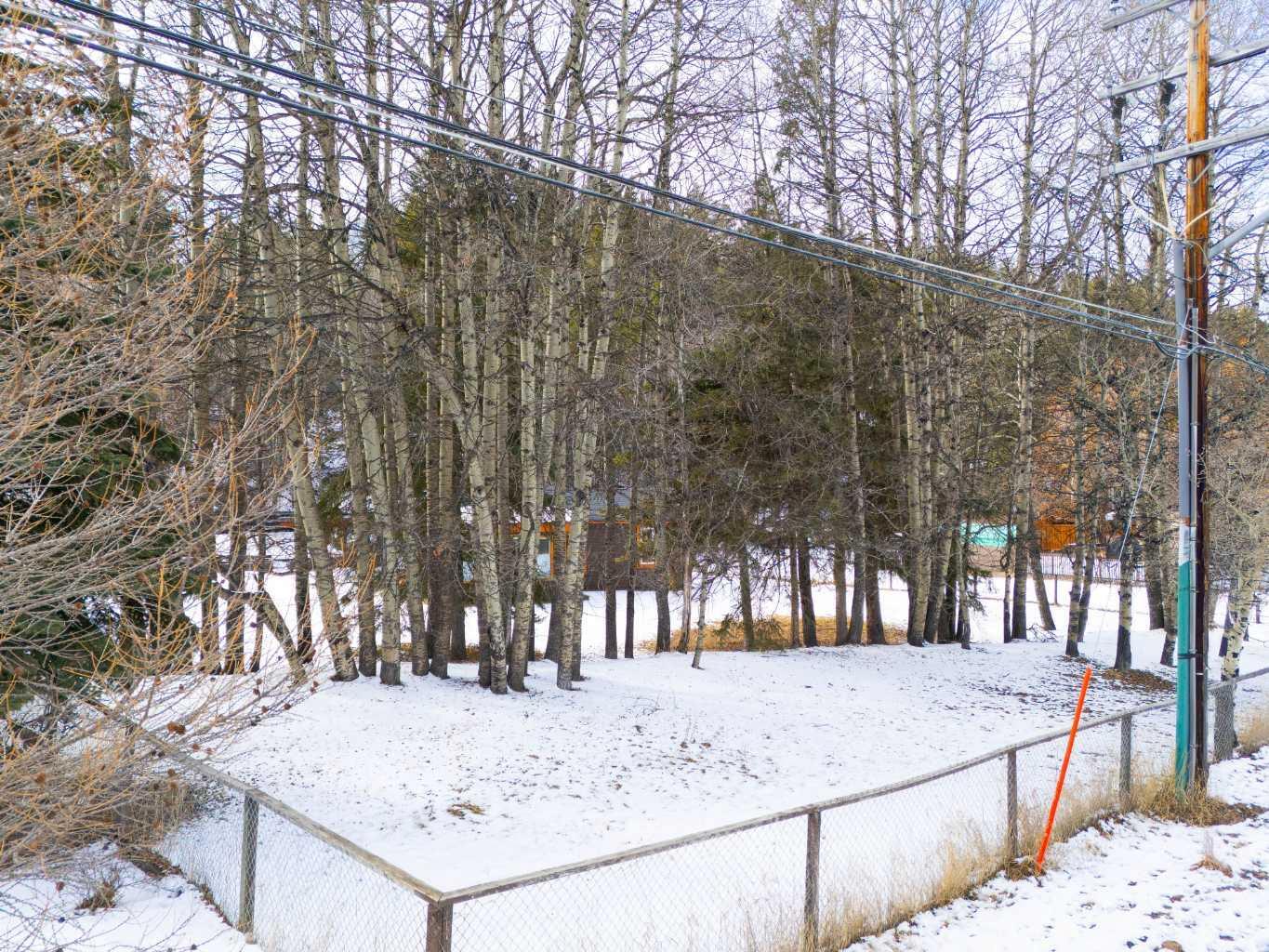 Photo de la propriété: 219 Three Sisters Drive AB T1W 2M4