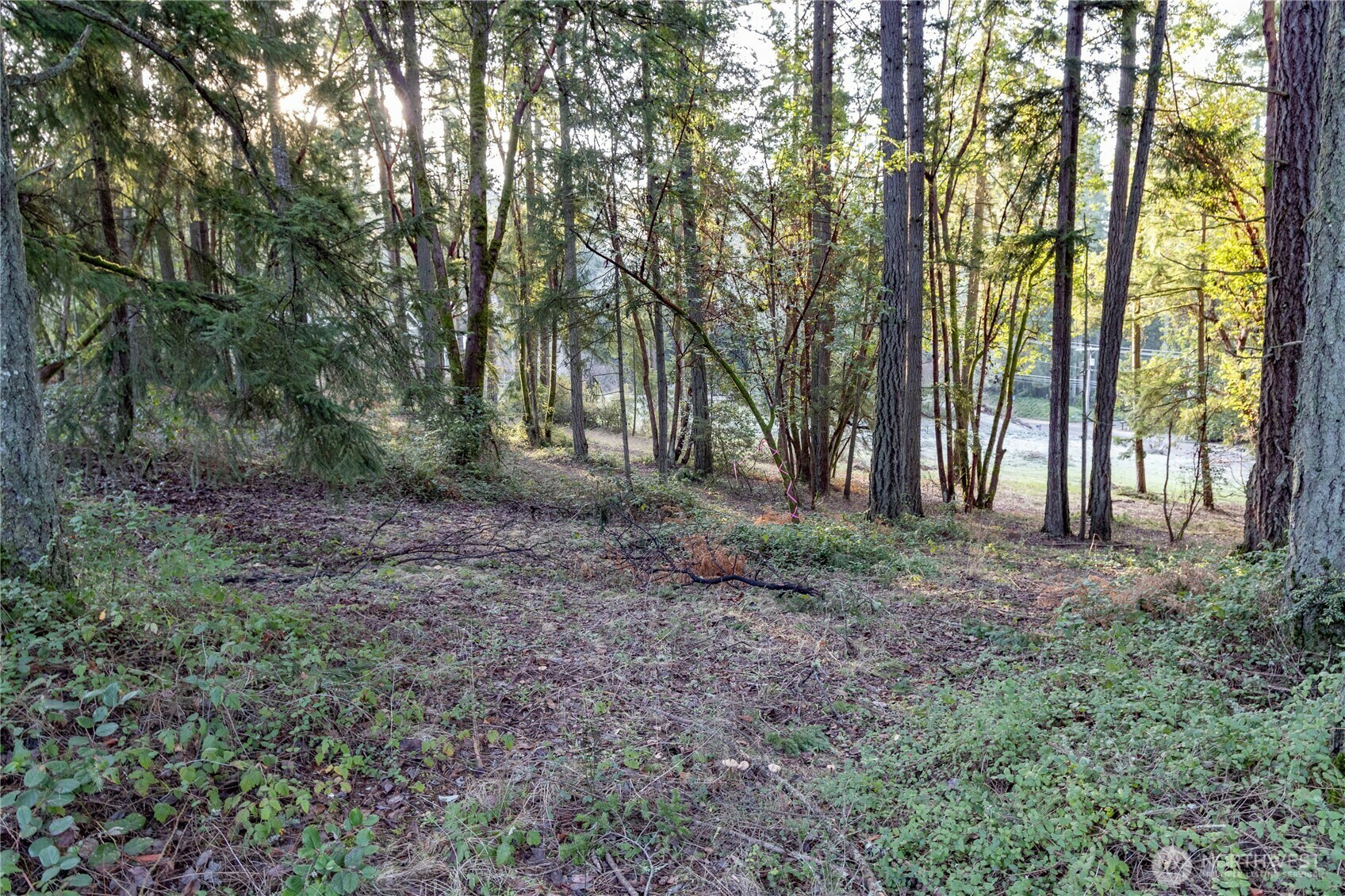 Property Photo:  0  Lemolo Shore, Parcel 3-006 Drive NE  WA 98370 