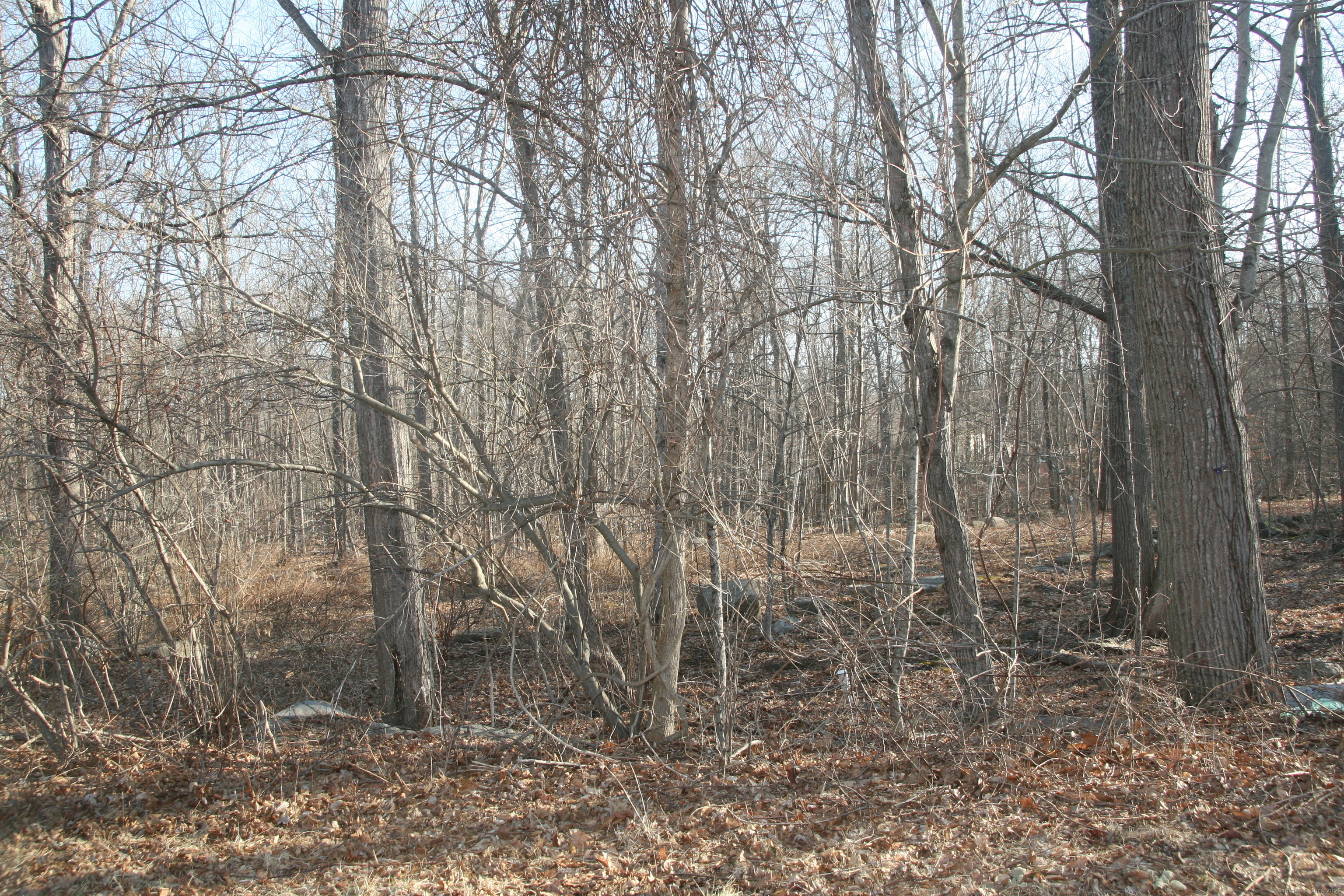 Property Photo: Beacon Hill Drive CT 06250