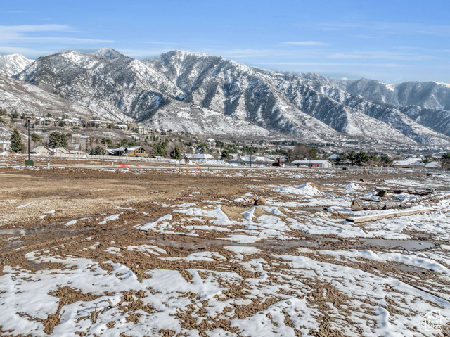 2996 E 10231 S 17  Sandy UT 84092 photo