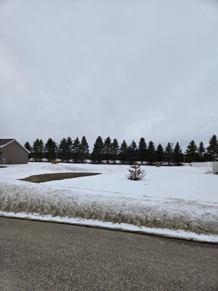 Property Photo: 58 Krystal Meadows Lane MI 49735