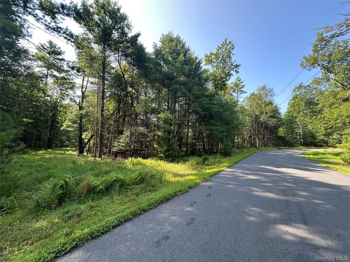 Lot 46 Summit Drive  Barryville NY 12719 photo