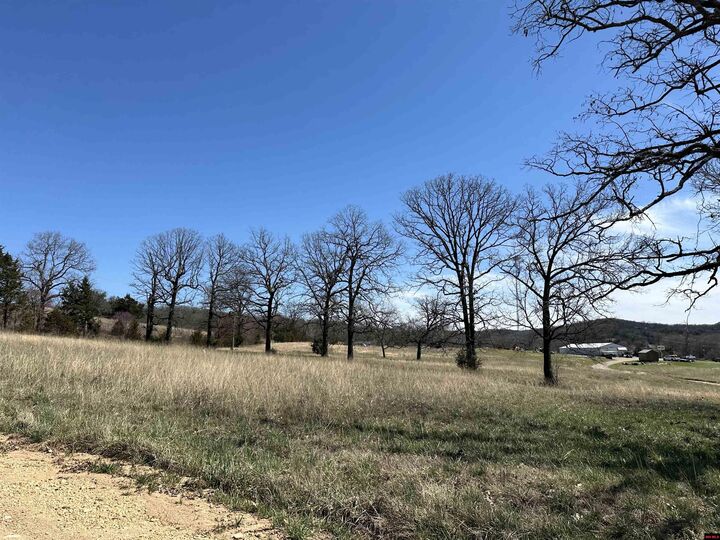 Property Photo:  Lot 4 Deer Meadows Lane  AR 72687 